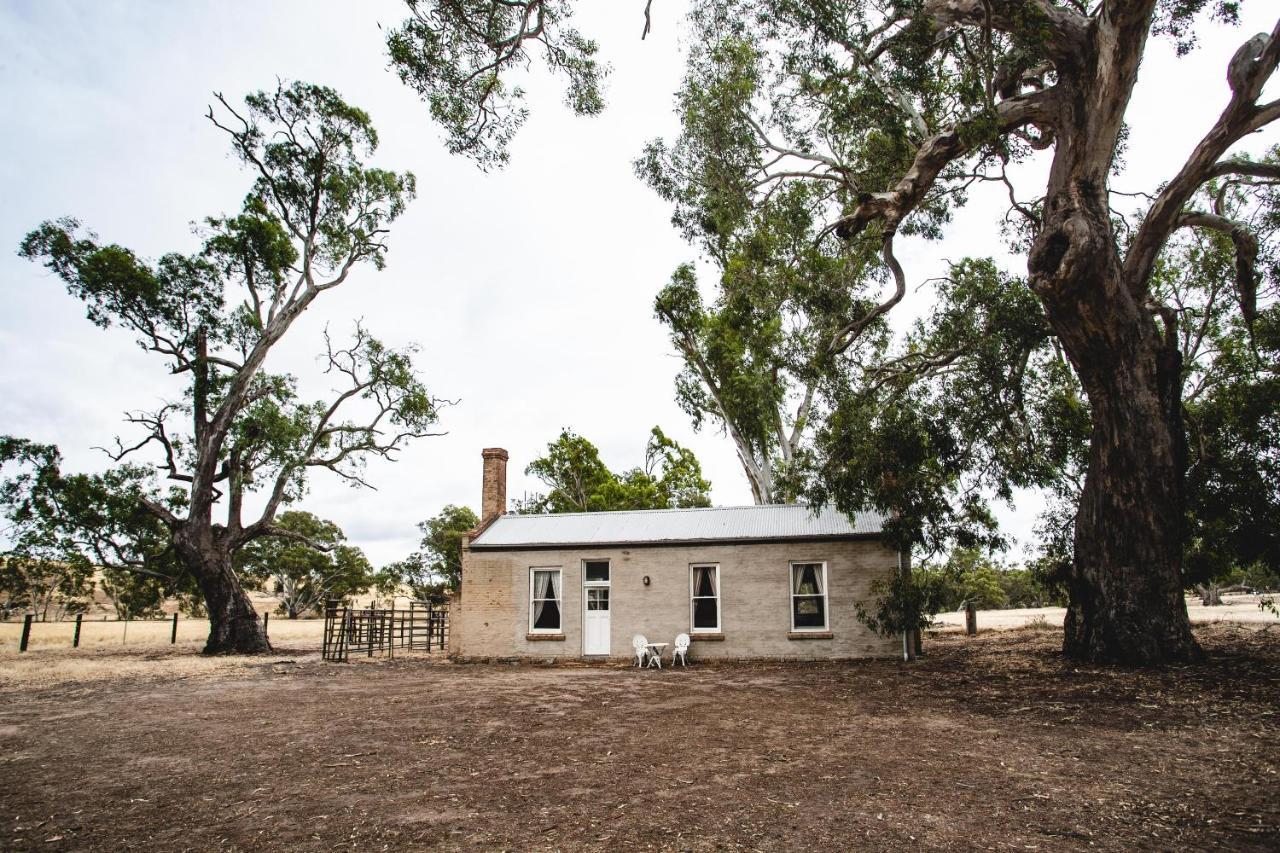 Ravenswood Homestead 外观 照片